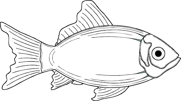 黑白魚插畫 壁紙