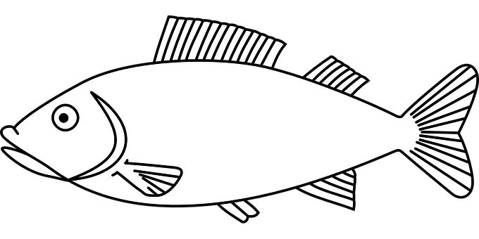 黑白魚插畫 壁紙