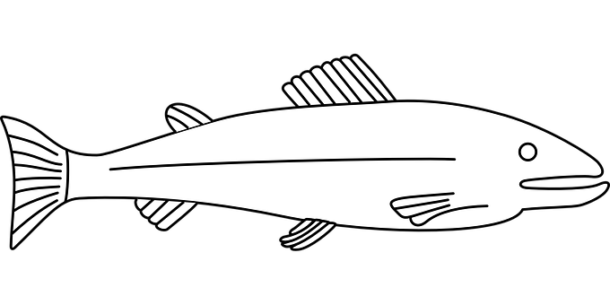 黑白魚類插圖 壁紙