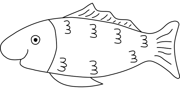 黑白魚類簡約插圖 壁紙