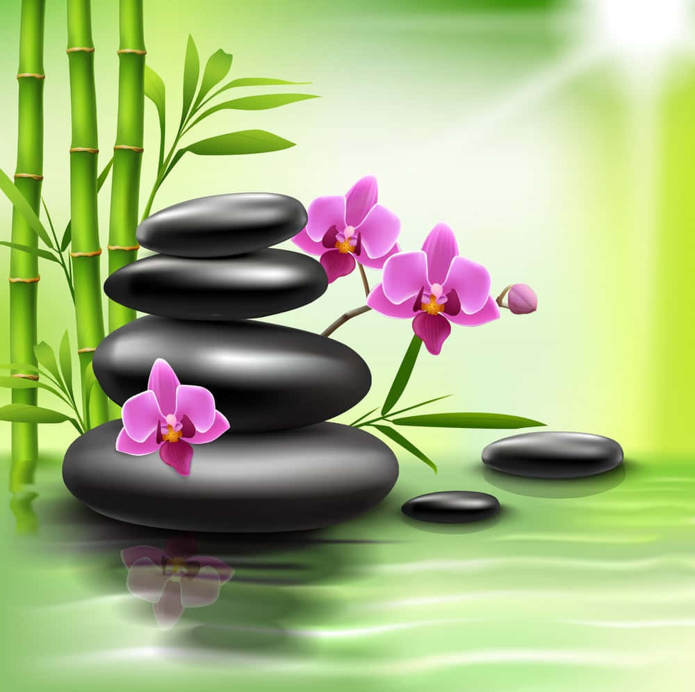綠色水中的黑色石頭和粉紅蘭花，帶有竹子倒影。 — 禪 壁紙