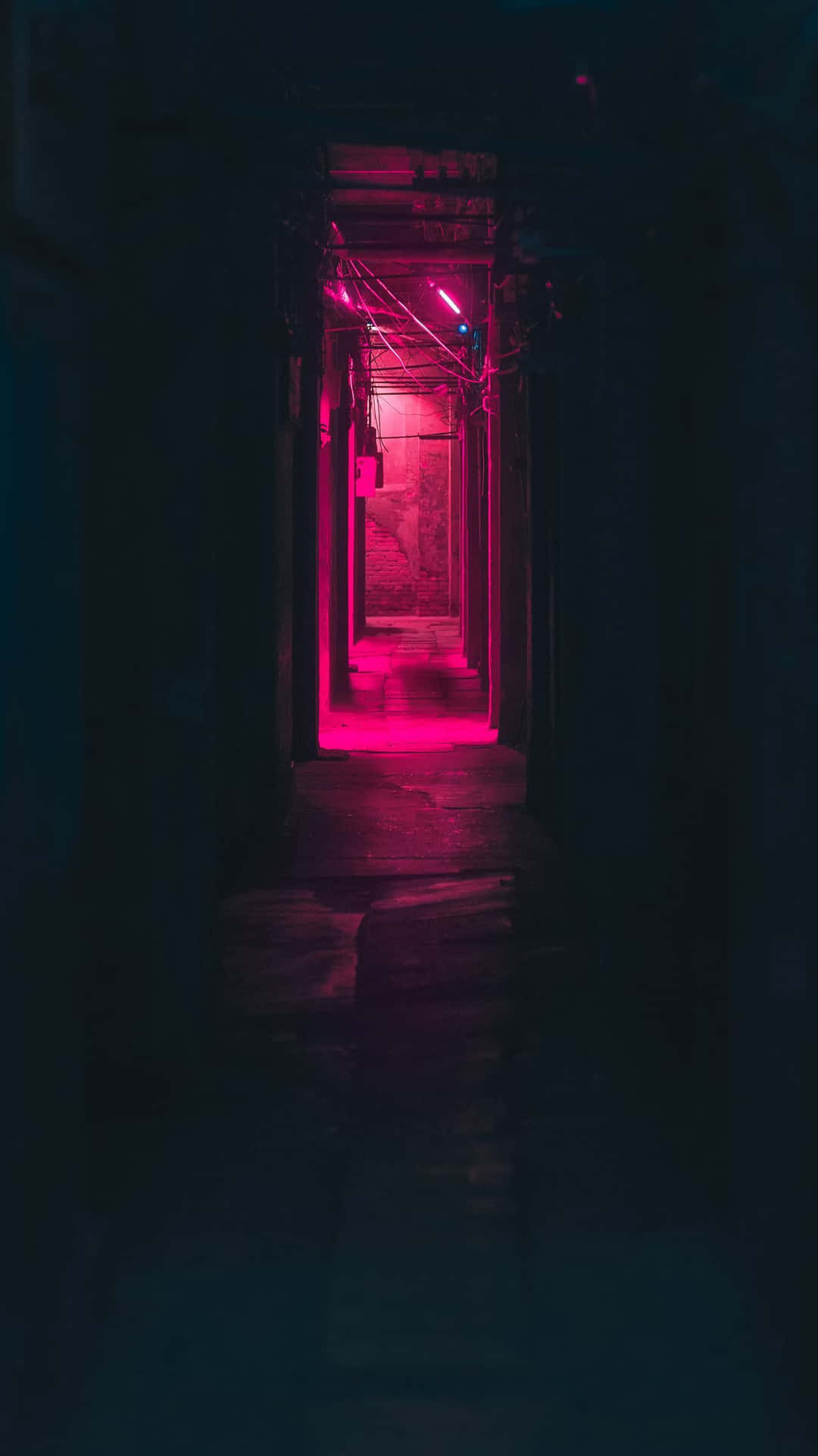 夜晚被粉紅色霓虹燈照亮的狹窄小巷。