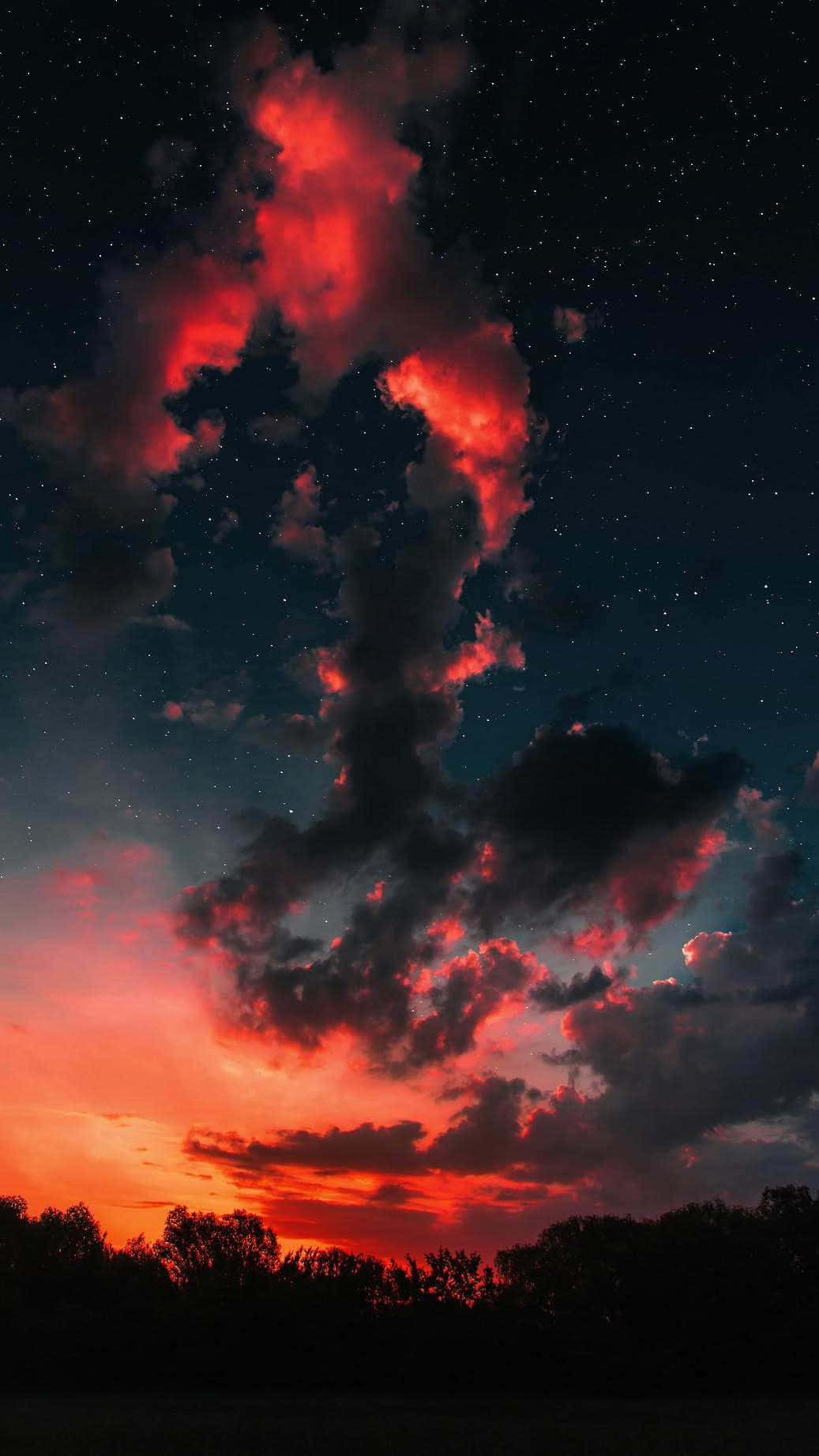暮色中黑暗樹線上方的戲劇性紅色雲彩和星星。