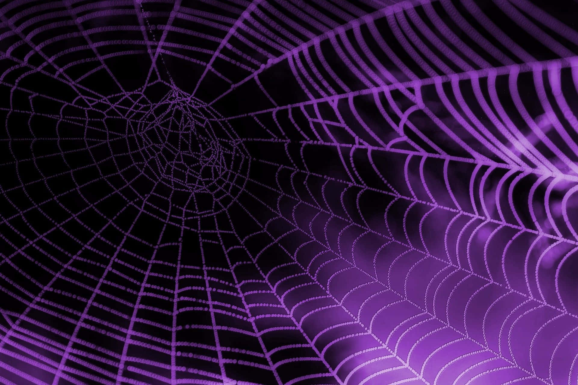 黑紫配色蜘蛛網背景 壁紙 — 發光的紫色蜘蛛網在黑暗背景上散發出複雜的圖案，帶有柔和的光線亮點。