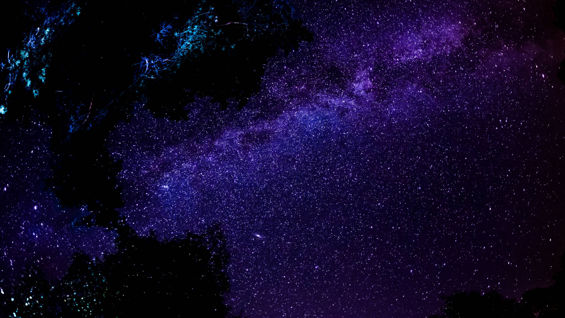 黑紫風格星際夜空 壁紙 — 令人嘆為觀止的銀河系景觀，在深紫色和藍色調中閃耀，映襯著樹枝的剪影。
