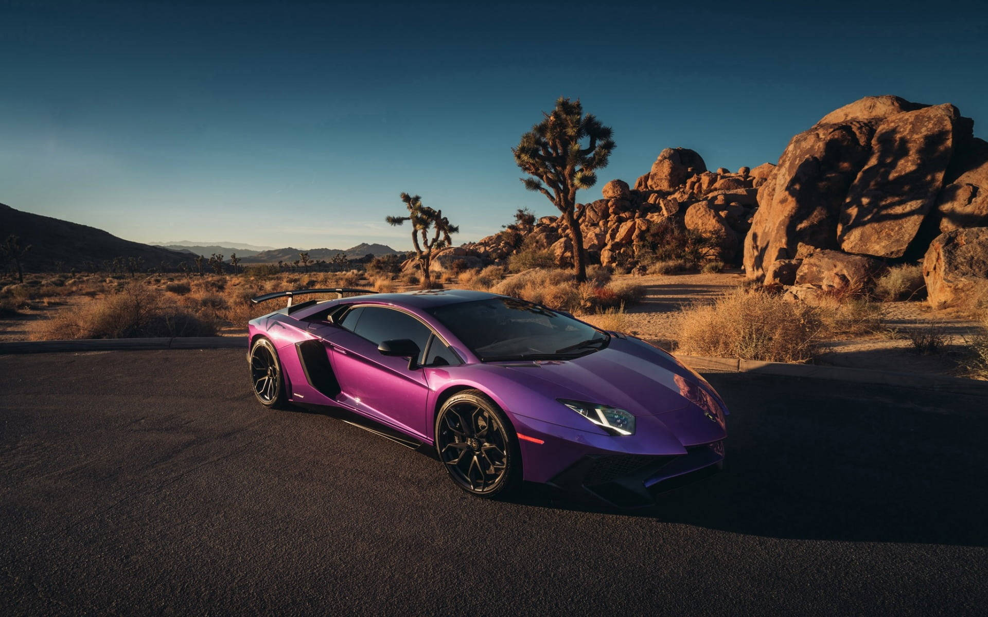 黑紫風格蘭博基尼 壁紙 — 一輛充滿活力的紫色林寶堅尼 Aventador 停在沙漠景觀的瀝青路上，周圍有約書亞樹和岩石山丘，天空清澈湛藍。