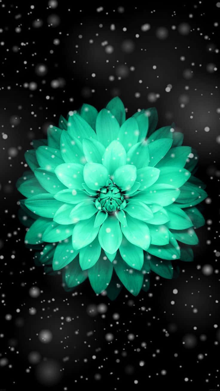 一朵發光的綠松色花朵，周圍漂浮著雪狀顆粒。