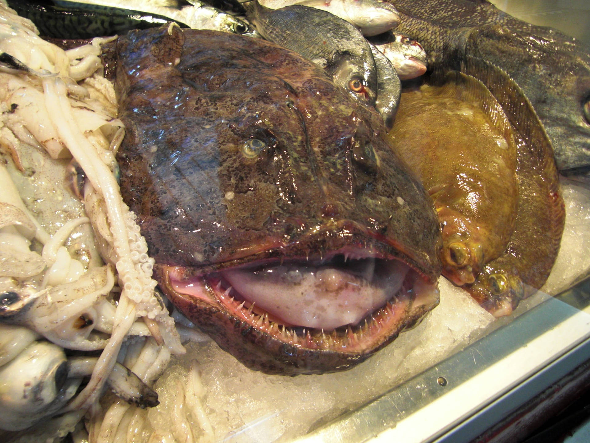 新鮮魚類和魷魚放在冰上的海鮮市場展示。