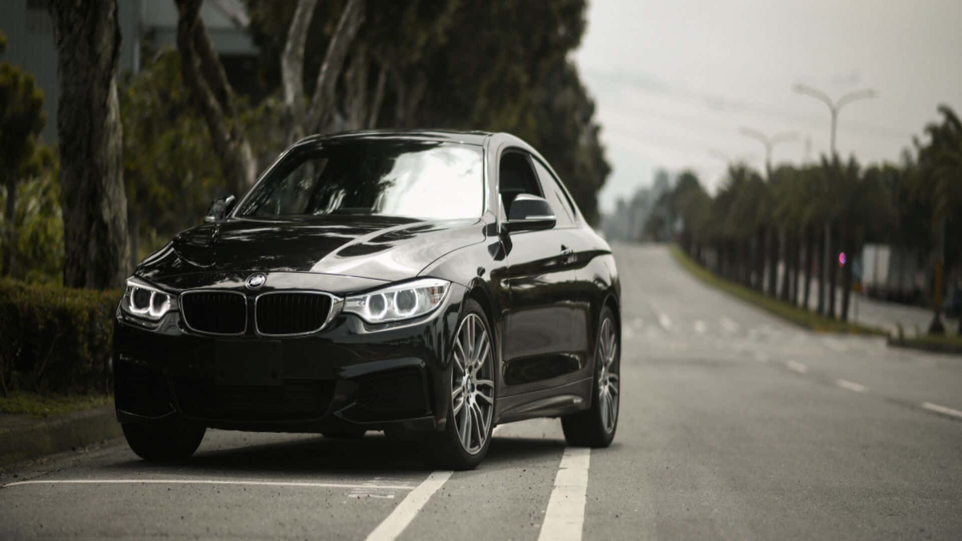 黑色BMW M4 1920x1080 M系列背景 壁紙 — 一架時尚的黑色寶馬雙門轎跑車停泊在林蔭大道上，天空多雲。