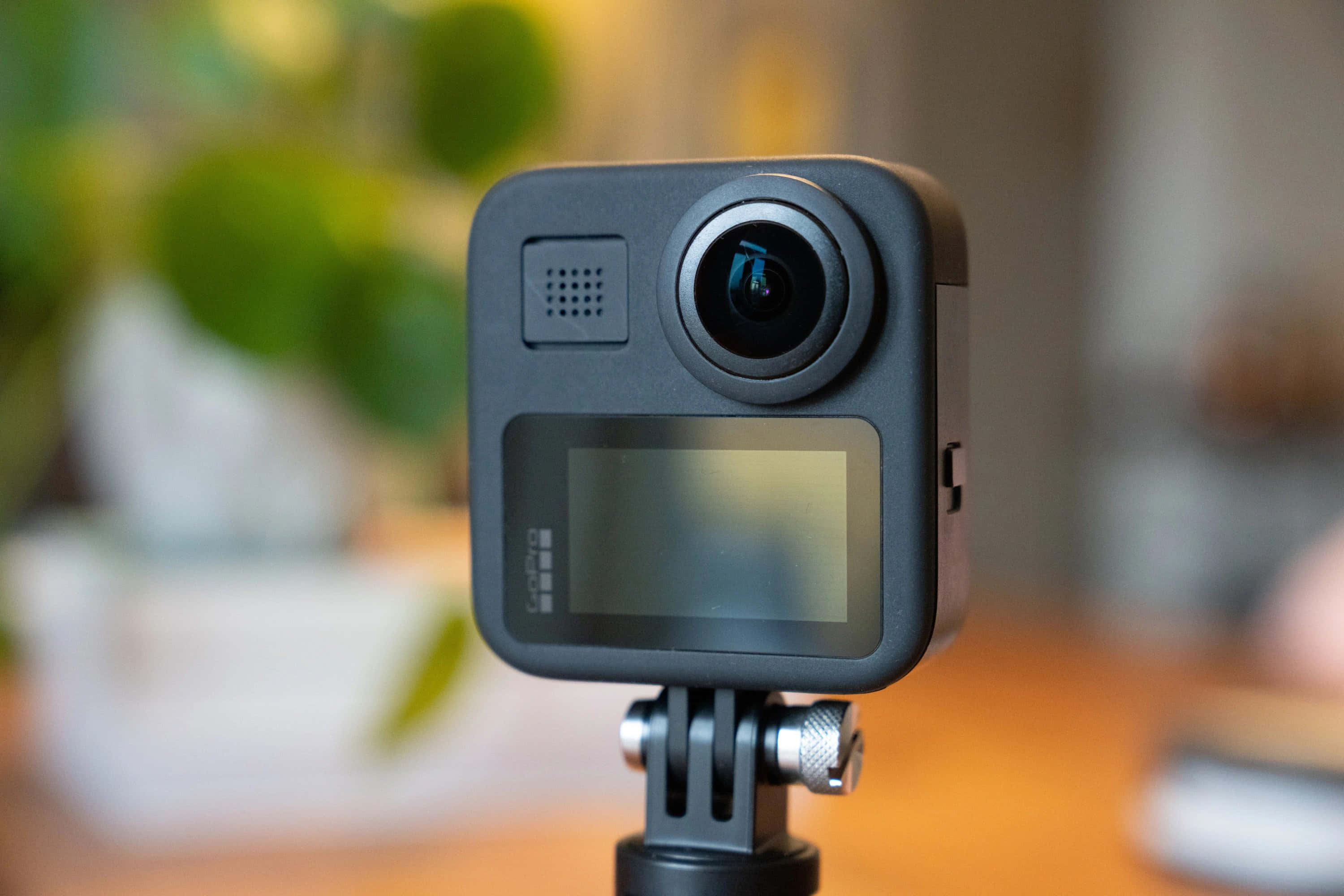 gopro 桌布 壁紙 — 黑色GoPro運動相機安裝在三腳架上的特寫，背景有模糊的綠色植物。