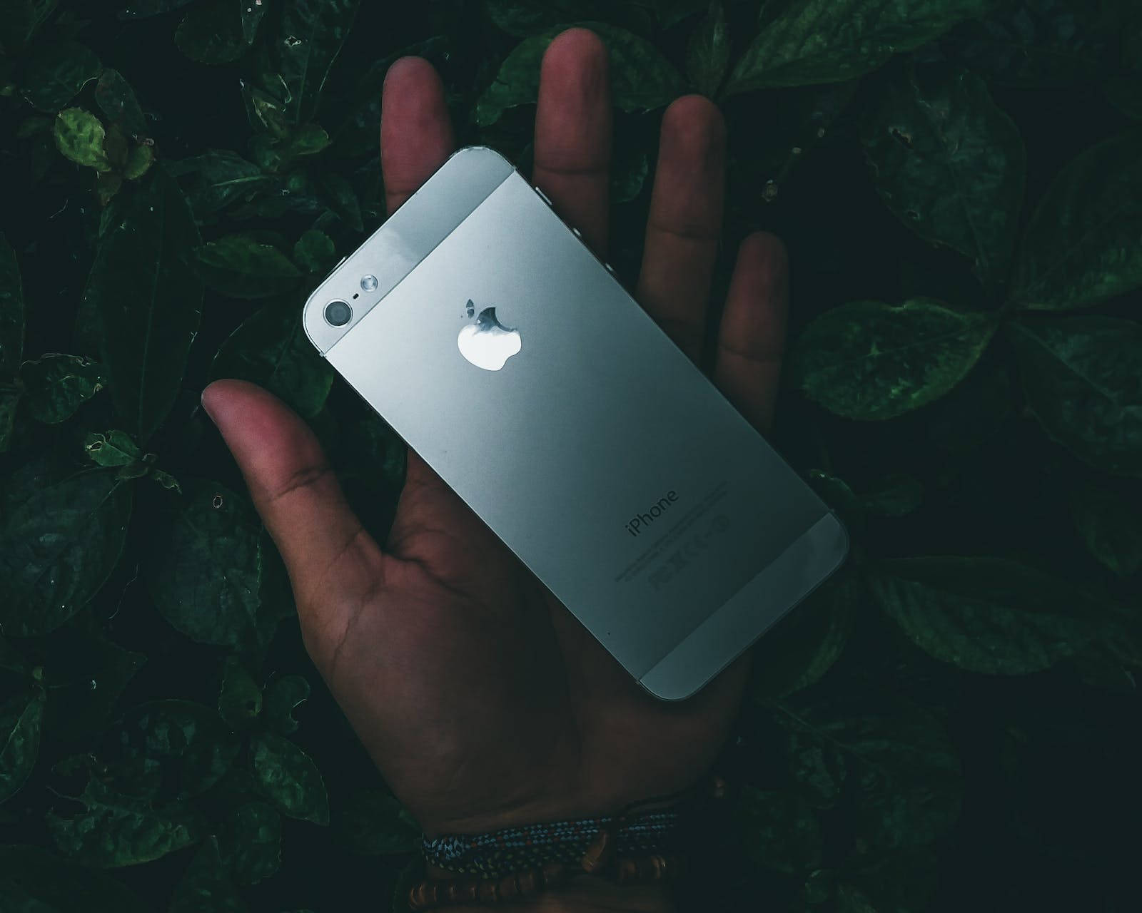 黑色iPhone 5握於掌心 壁紙 — 一隻手捧著銀色iPhone，背景是昏暗光線下的深綠色樹葉。