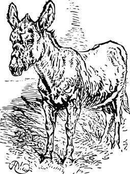 黑色剪影驢仔 壁紙