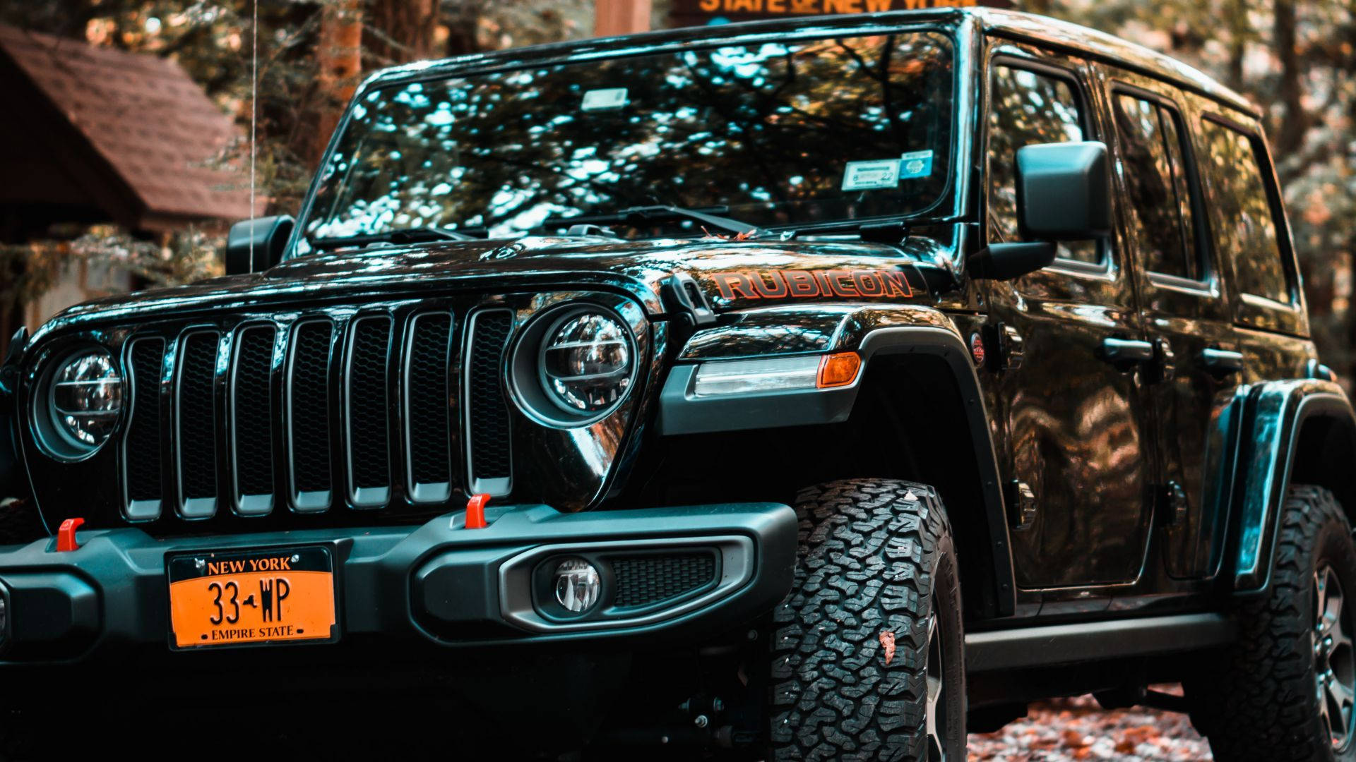 黑色Jeep Rubicon停泊在秋日森林中，掛有紐約車牌。