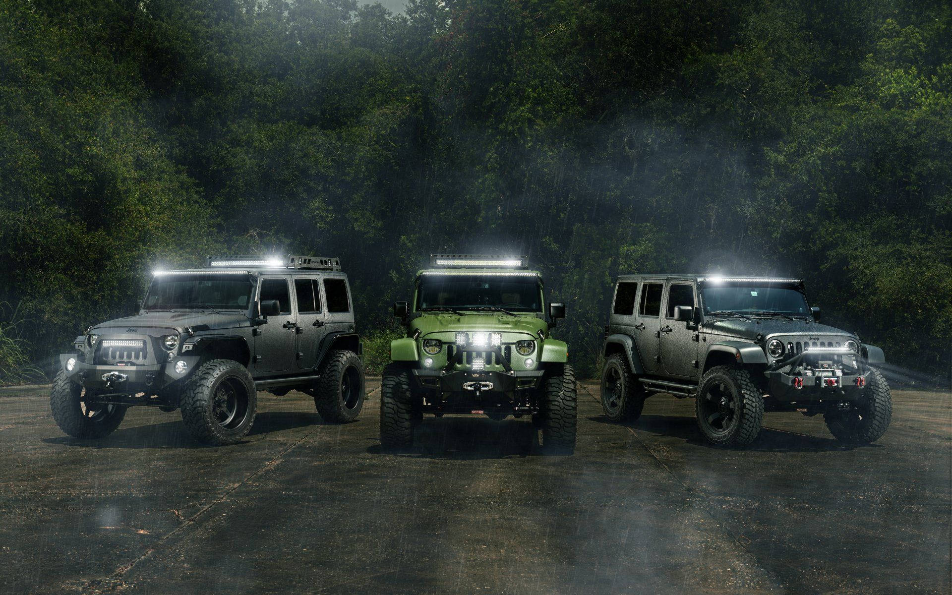 三輛Jeep Wrangler亮著車頭燈，停泊在黃昏時分霧氣瀰漫的森林中。