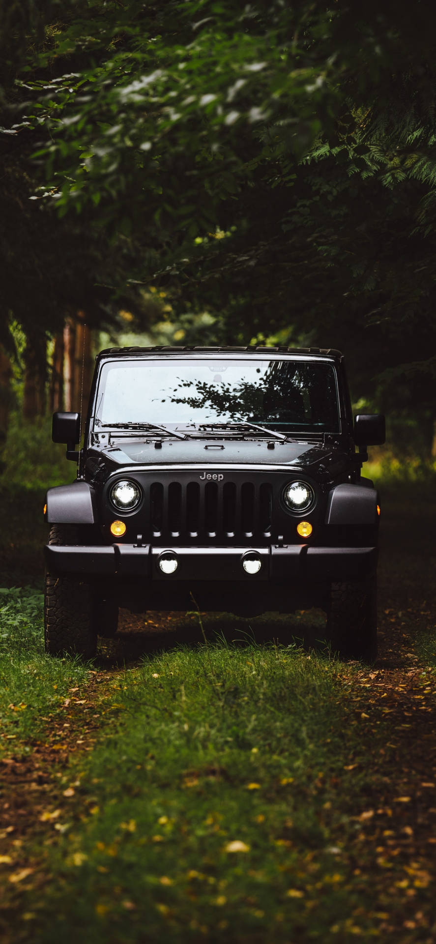 黑色Jeep Wrangler停泊在樹木環繞的草地森林小徑上。