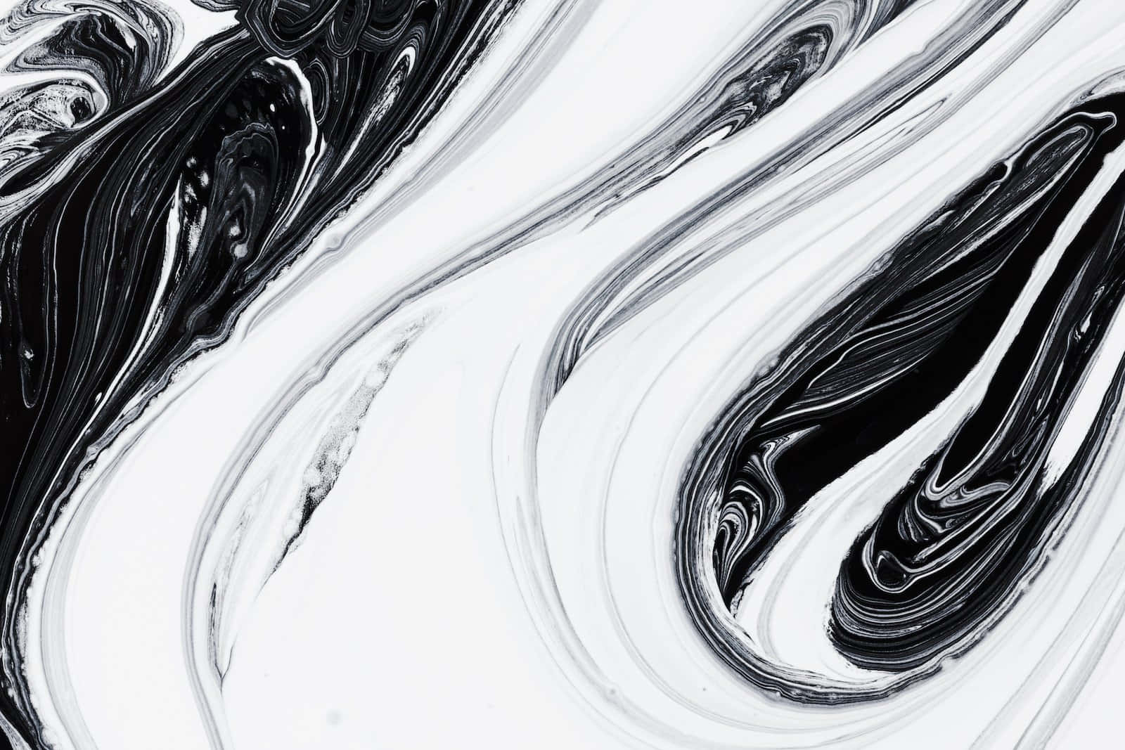 Black Art 桌布 壁紙 — 黑色和白色油漆的動態漩渦以優雅、有機的圖案在畫布上流動。