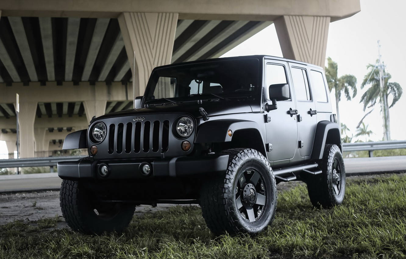 黑色Jeep Wrangler停在天橋下的草地上，有棕櫚樹
