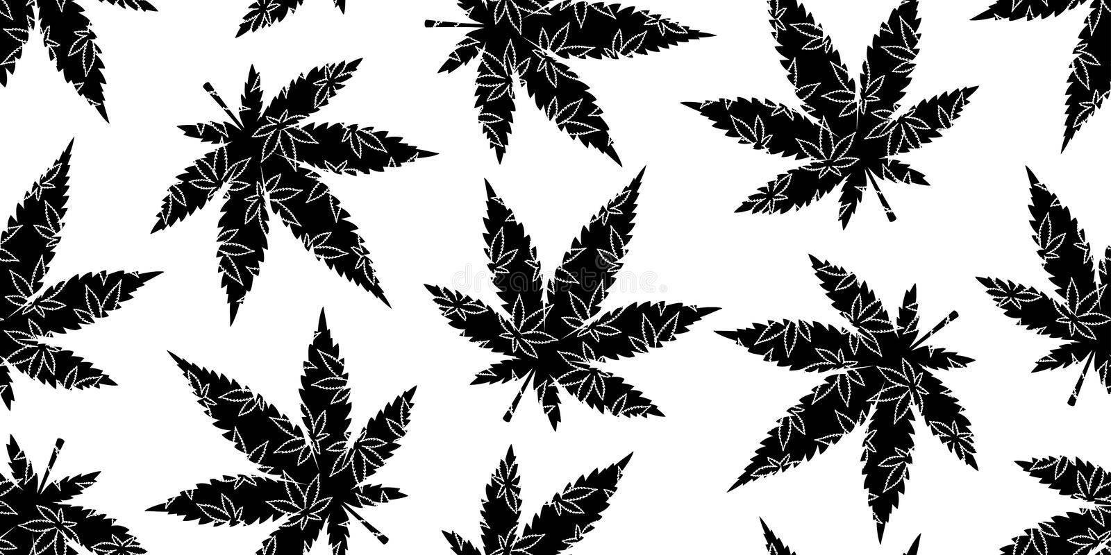 重複的黑色楓葉剪影，帶白色葉脈，在白色背景上。