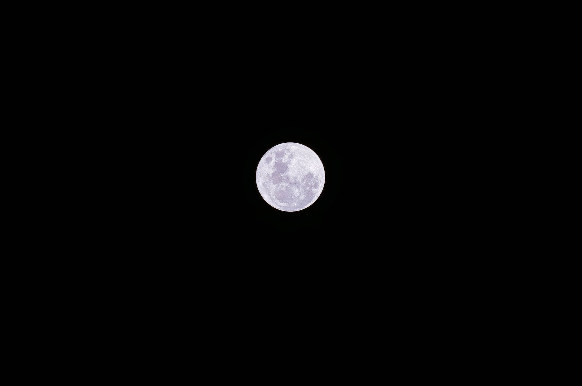 滿月位於黑暗夜空中央