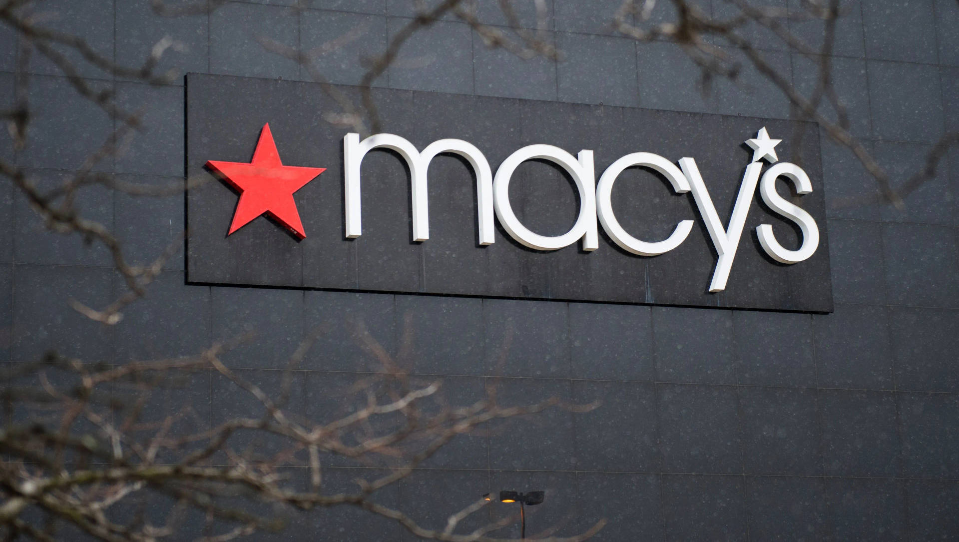 Macy's 商店標誌，灰色牆上紅色星星，由光禿樹枝框住