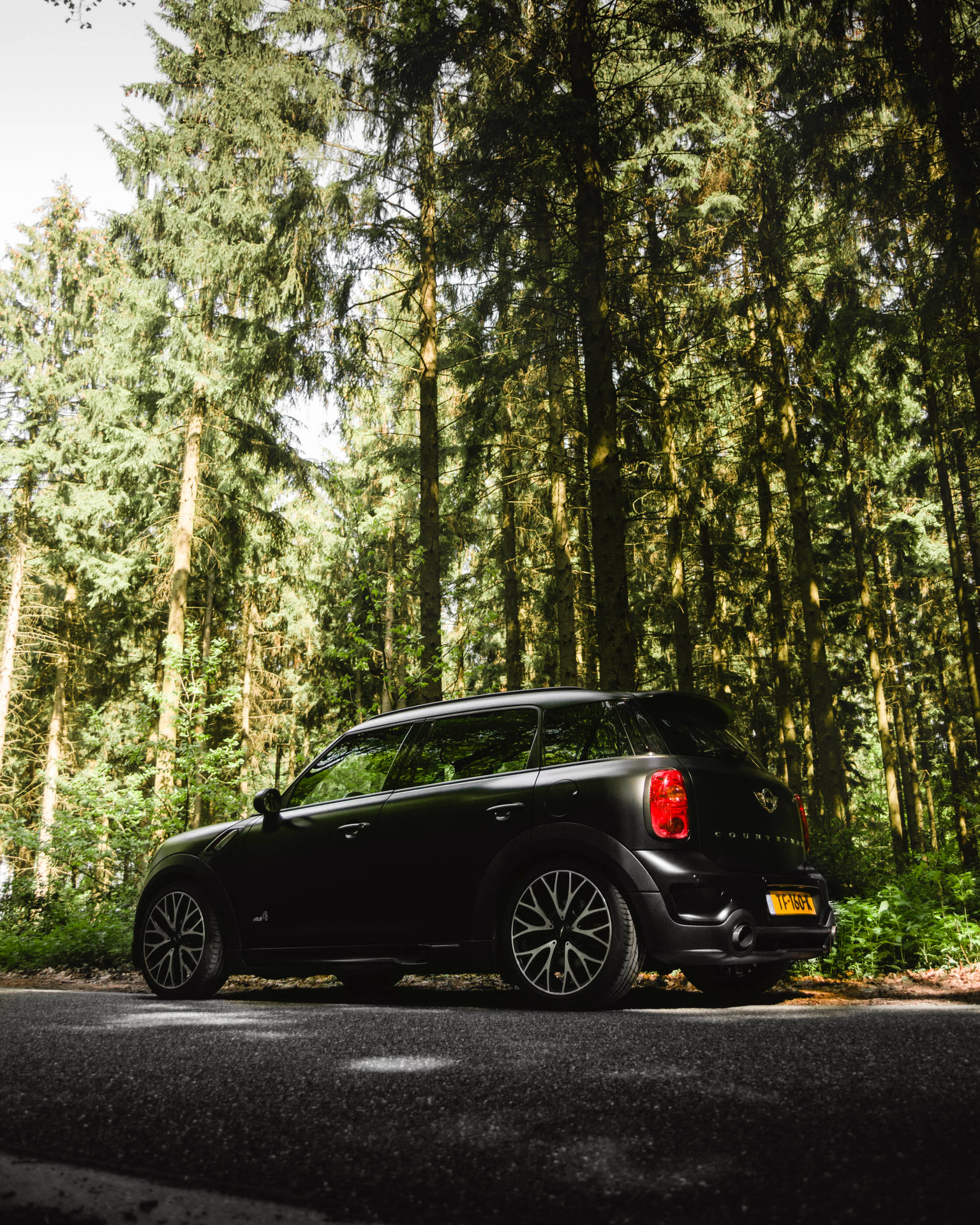 黑色MINI Countryman停泊在高聳常綠樹木下的森林道路上。