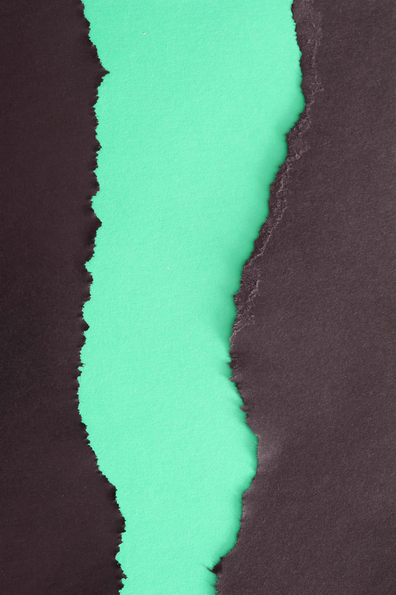 撕裂的深棕色紙張露出下面充滿活力的青綠色紙張。