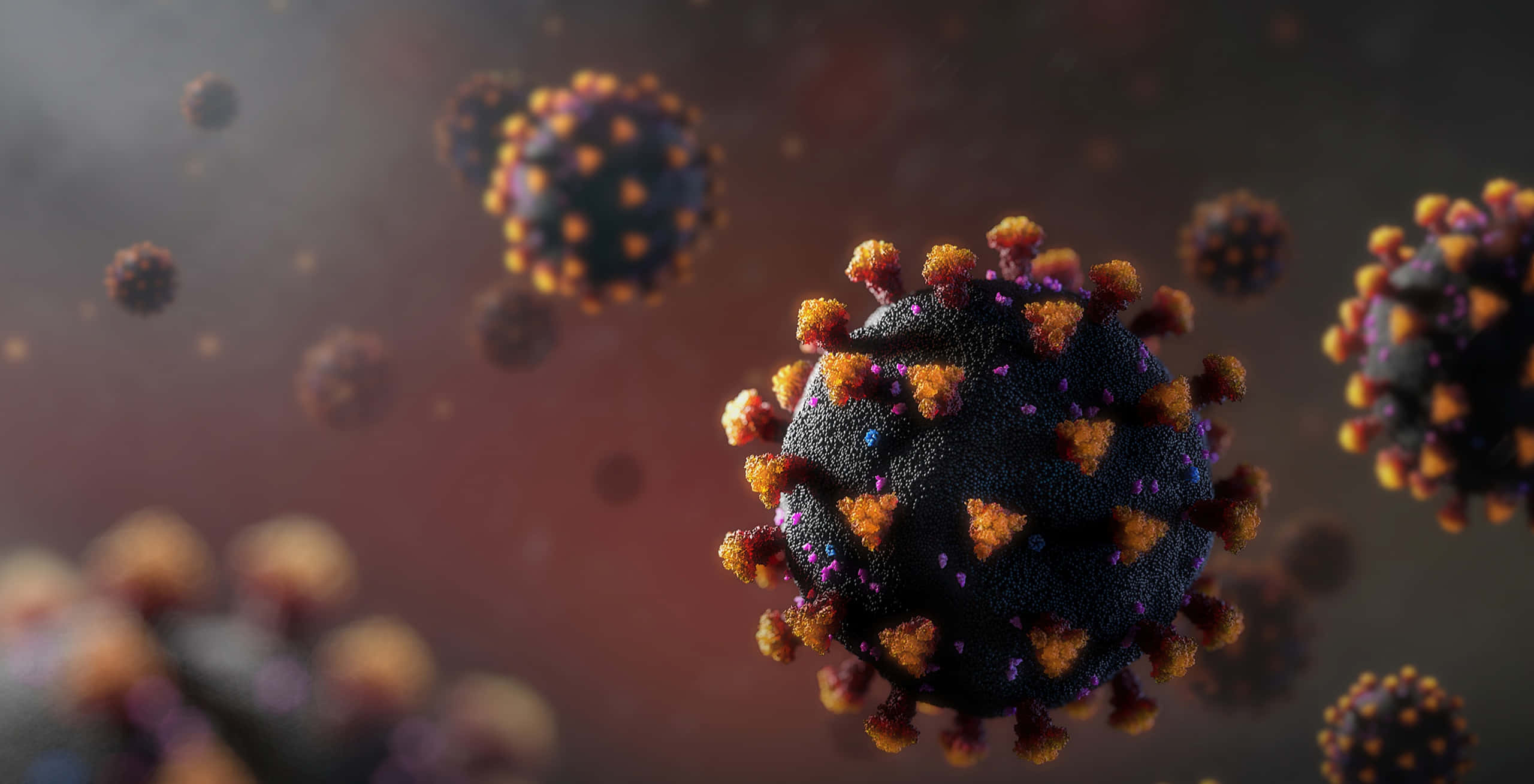 黑色新冠病毒圖像 壁紙 — 詳細的3D渲染，顯示帶有橙色尖刺的病毒顆粒漂浮在漸變背景中。