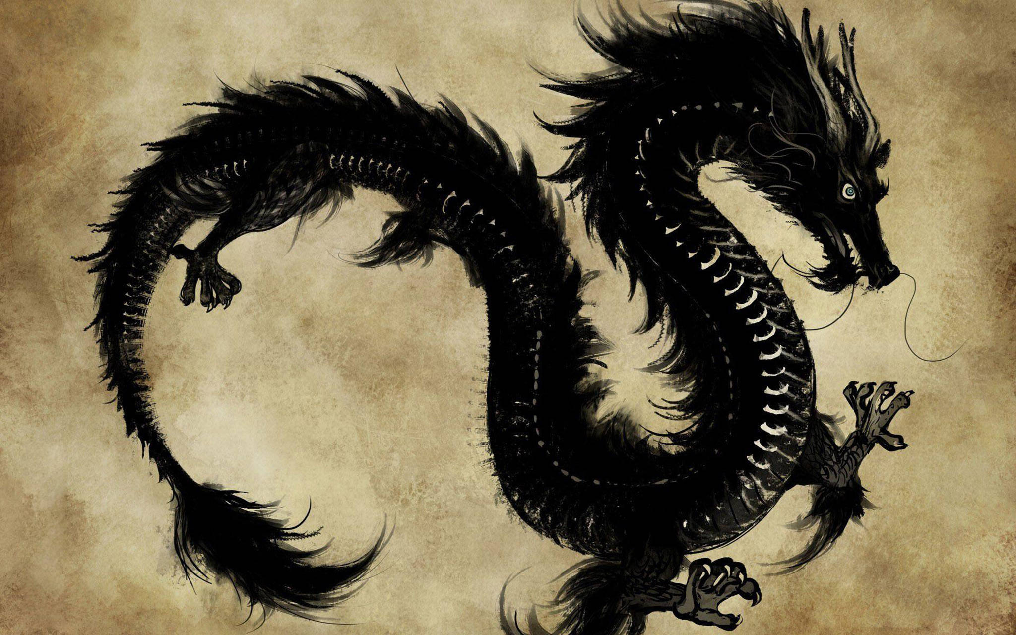 黑色東方龍 壁紙 — 一隻雄偉的黑色墨水龍在帶有紋理的羊皮紙背景上優雅地盤旋，只有一隻發光的眼睛。