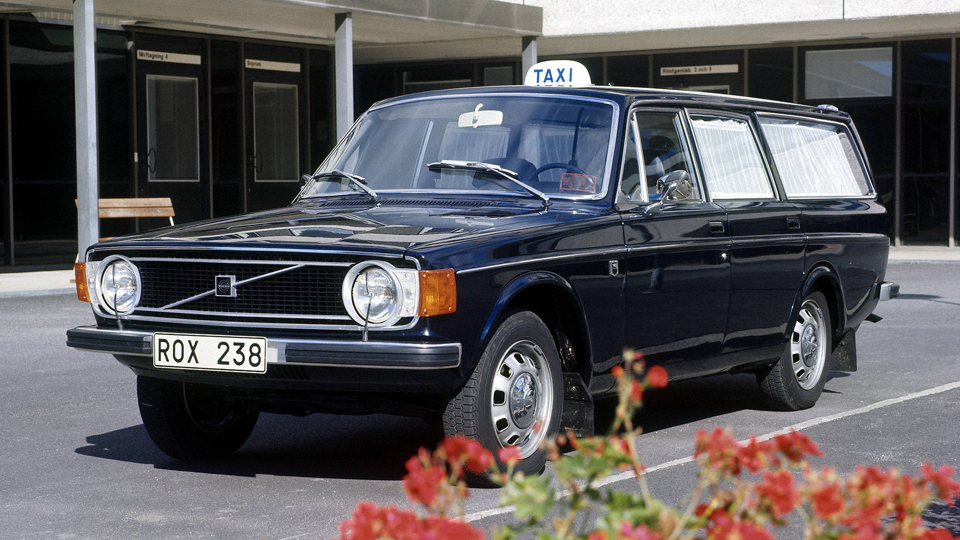 黑色的的士Volvo iPhone相片 壁紙 — 一架經典深藍色富豪240DL的士停泊在現代建築物前，前景有紅色花朵。
