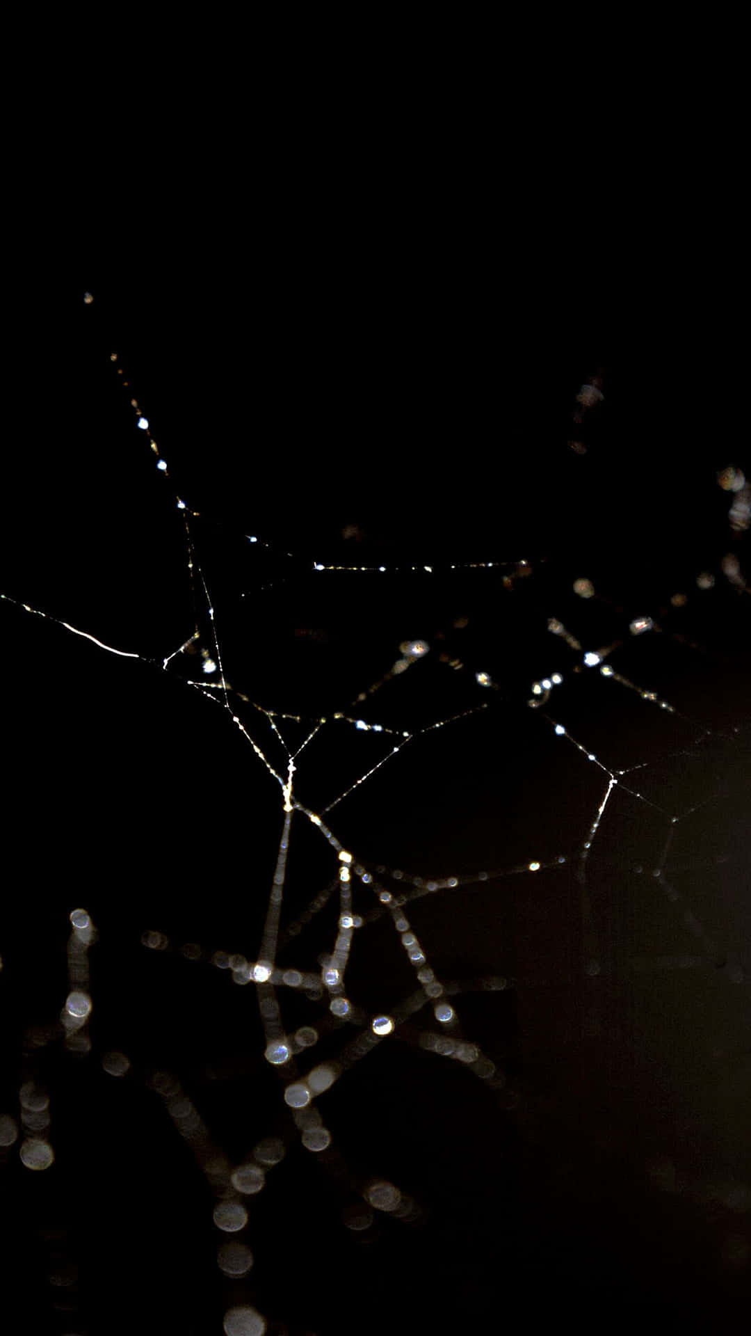 黑色美學蜘蛛網背景 壁紙 — 一張精緻的蜘蛛網在漆黑的夜空中閃爍著露珠，形成脆弱而發光的圖案。
