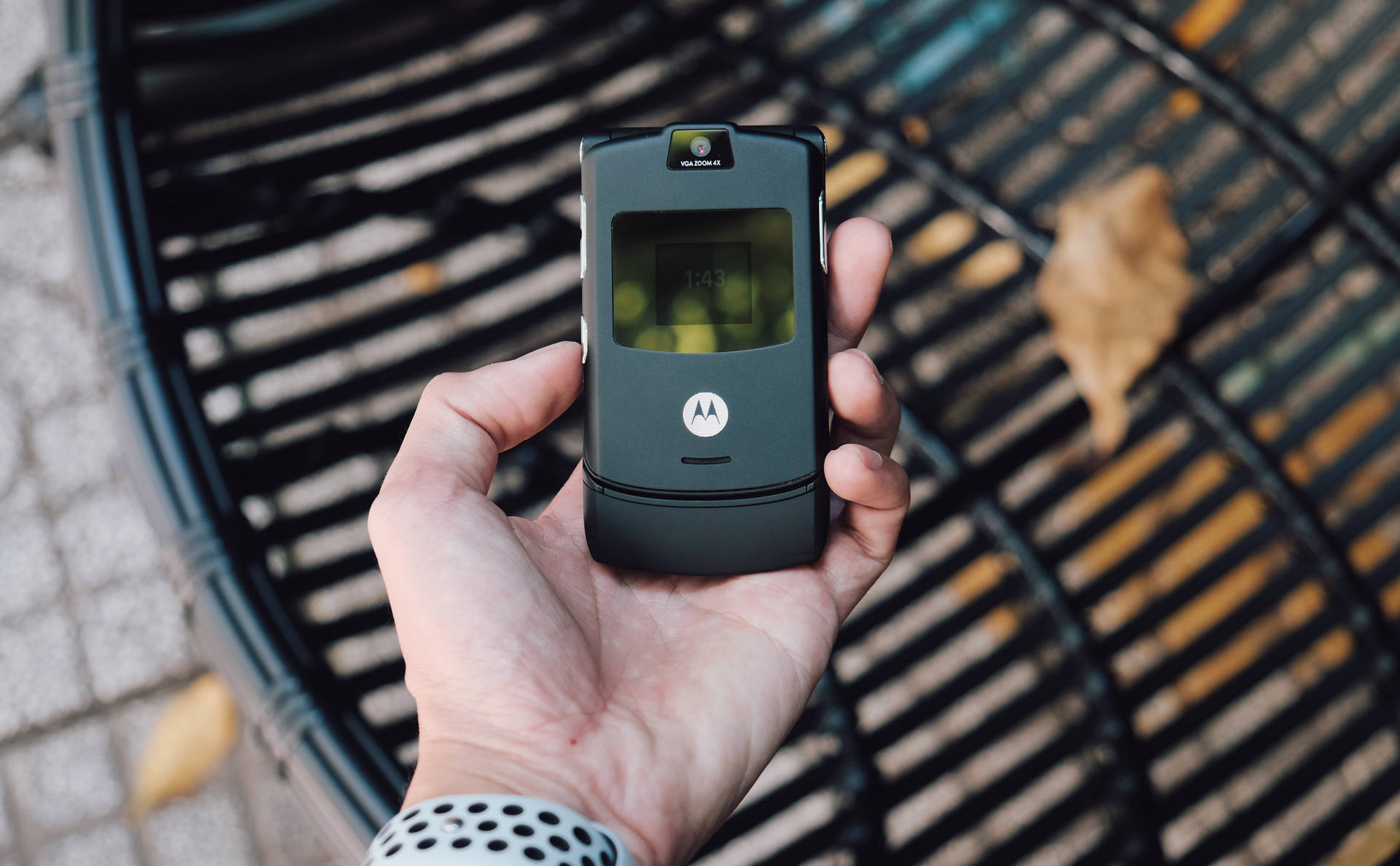 戶外手持黑色Motorola摺機，伴有落葉。 — 手機 壁紙