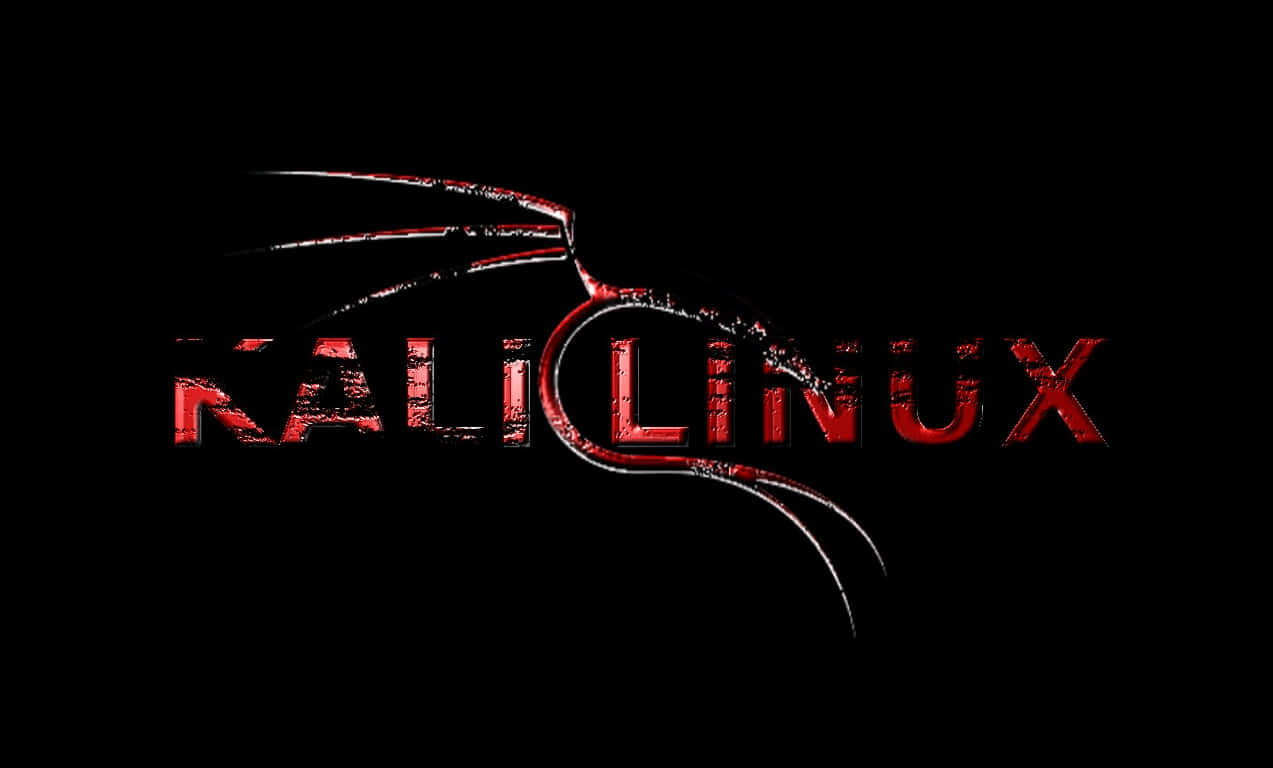 Kali Linux 背景