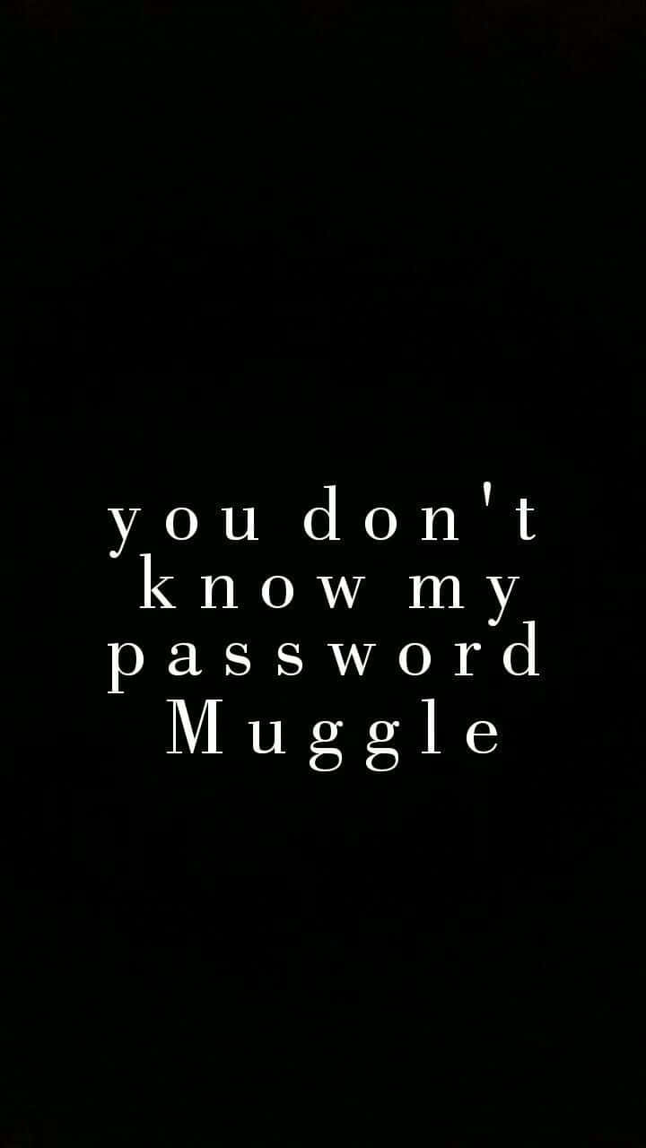 Harry Potter Muggle 桌布 壁紙 — 黑色背景上的白色文字寫著你不知道我的密碼麻瓜