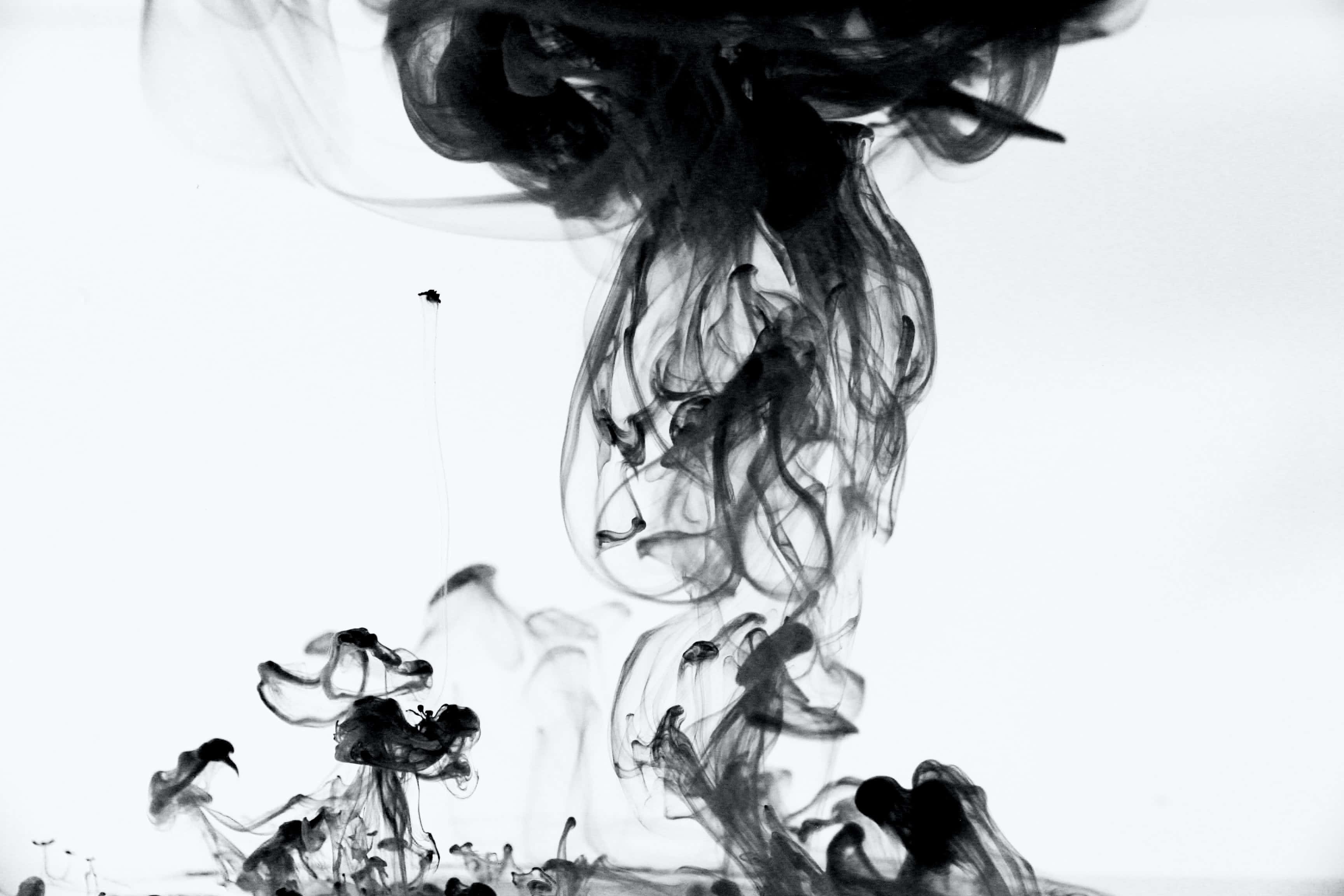 黑色背景上的神秘煙霧 壁紙 — 黑色墨水在純白背景上戲劇性地旋轉，形成迷人的抽象流體運動。
