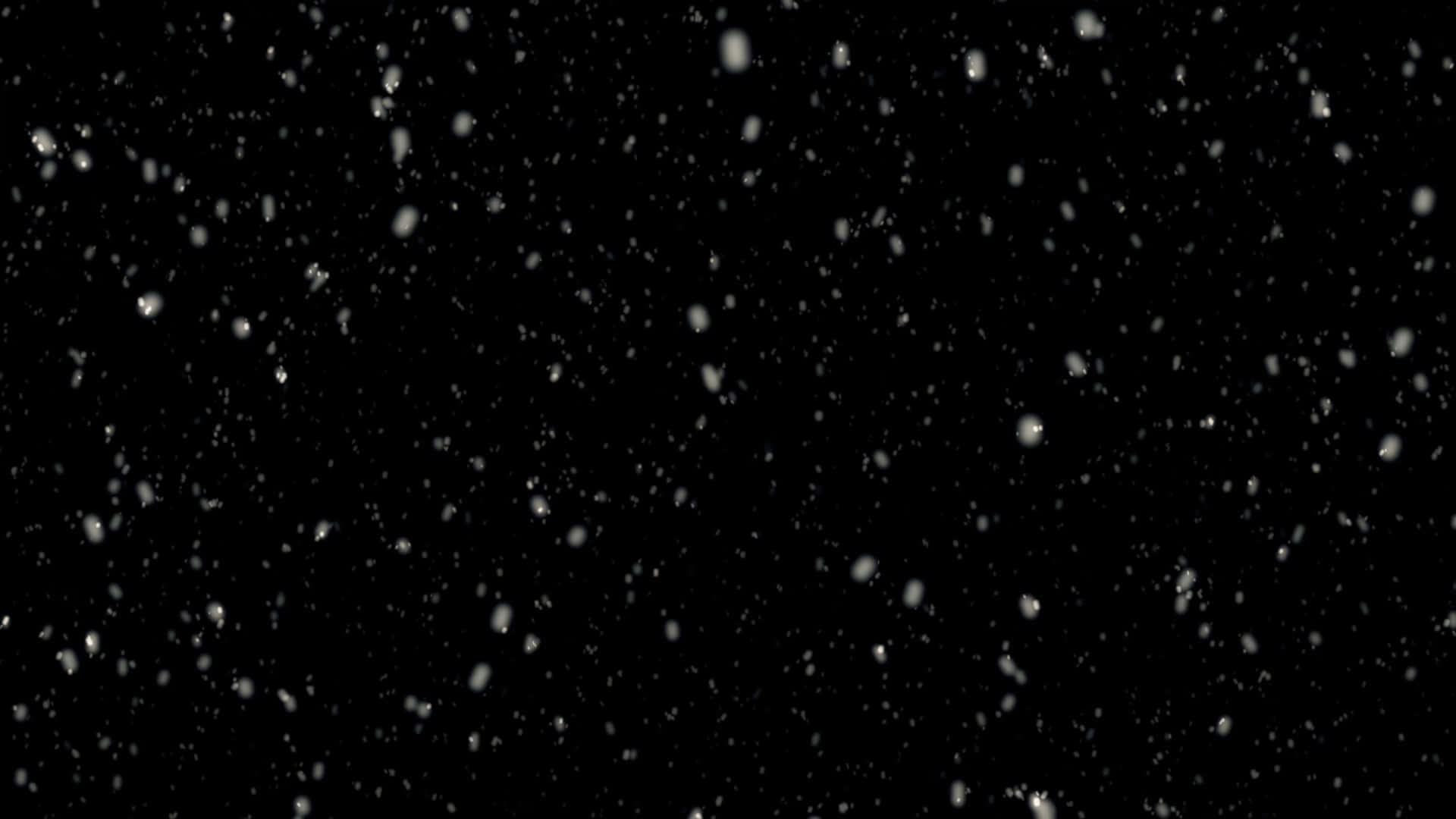 雪花在黑色背景上飄落