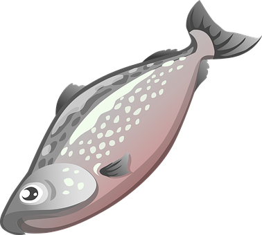 黑色背景嘅比目魚插圖 壁紙