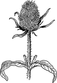 黑色背景與黑色方塊