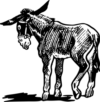 黑色螢幕暫存畫面 壁紙