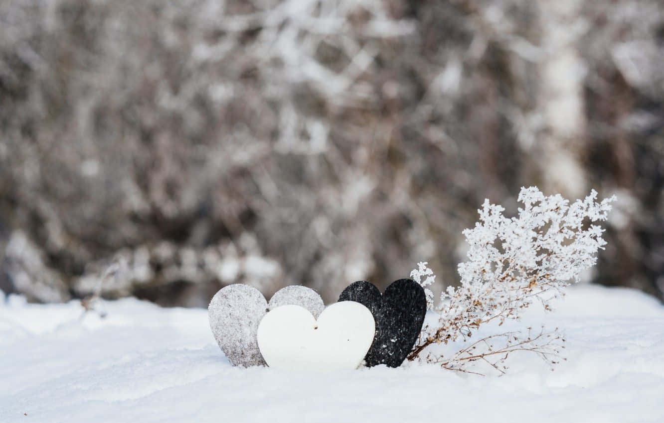 三塊心形石頭在雪地上，旁邊是結霜的樹枝