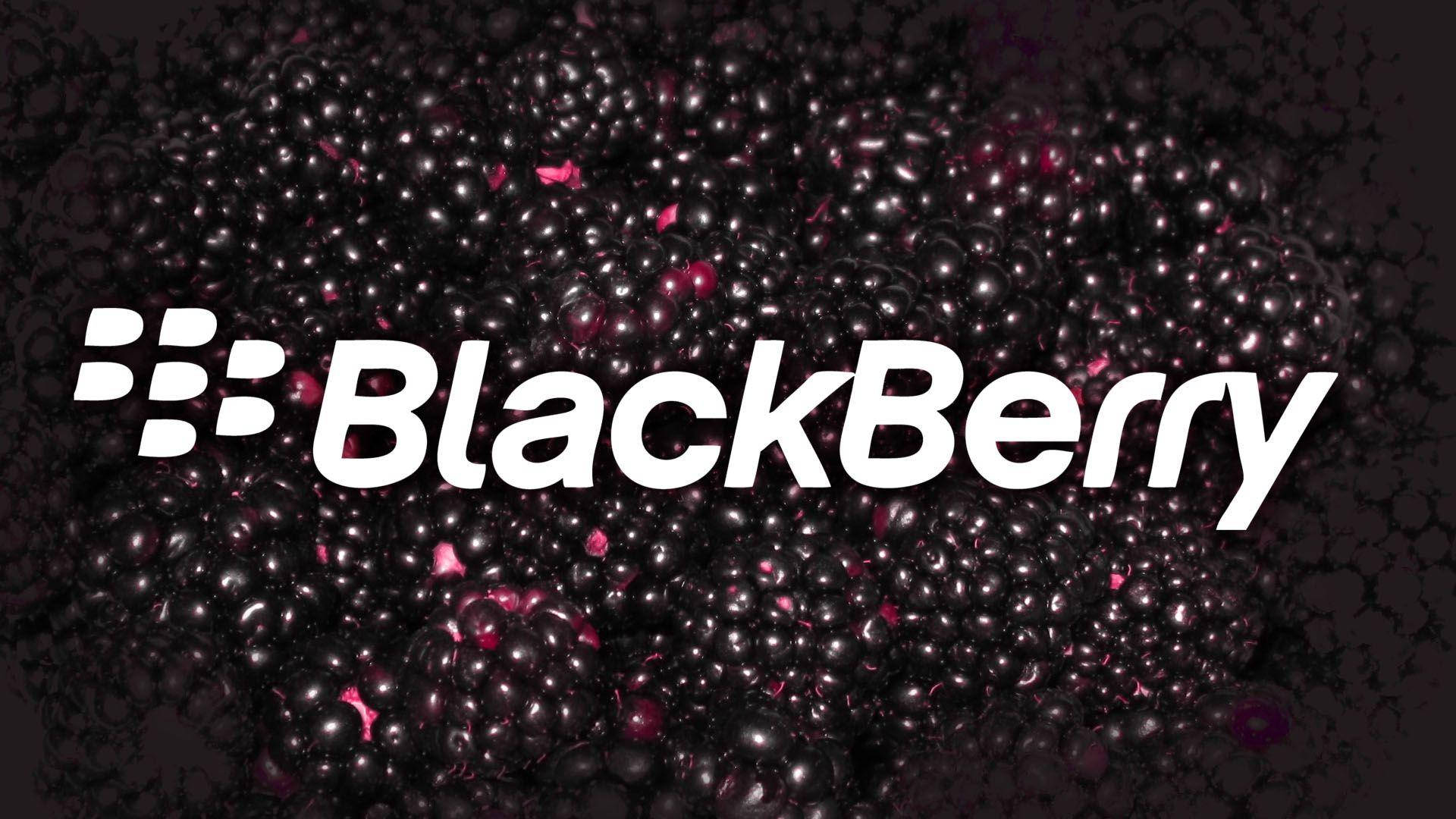 黑莓深粉紅覆盆子 壁紙 — BlackBerry 標誌以白色文字居中顯示在一堆帶有粉紅色高光的亮黑莓上方。
