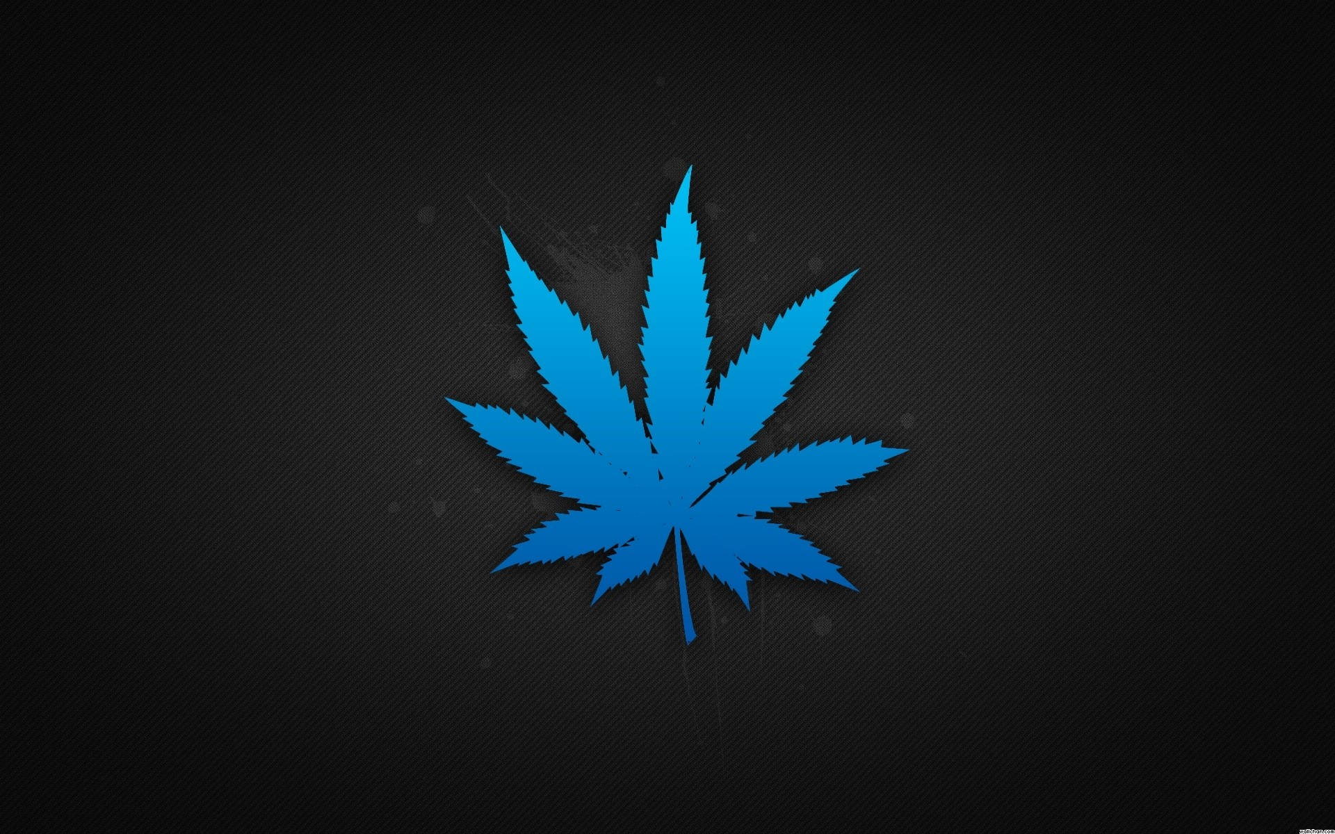 黑藍色大麻葉 壁紙 — 一個鮮豔的藍色大麻葉圖案在帶有細微斑點的紋理深灰色背景上脫穎而出。