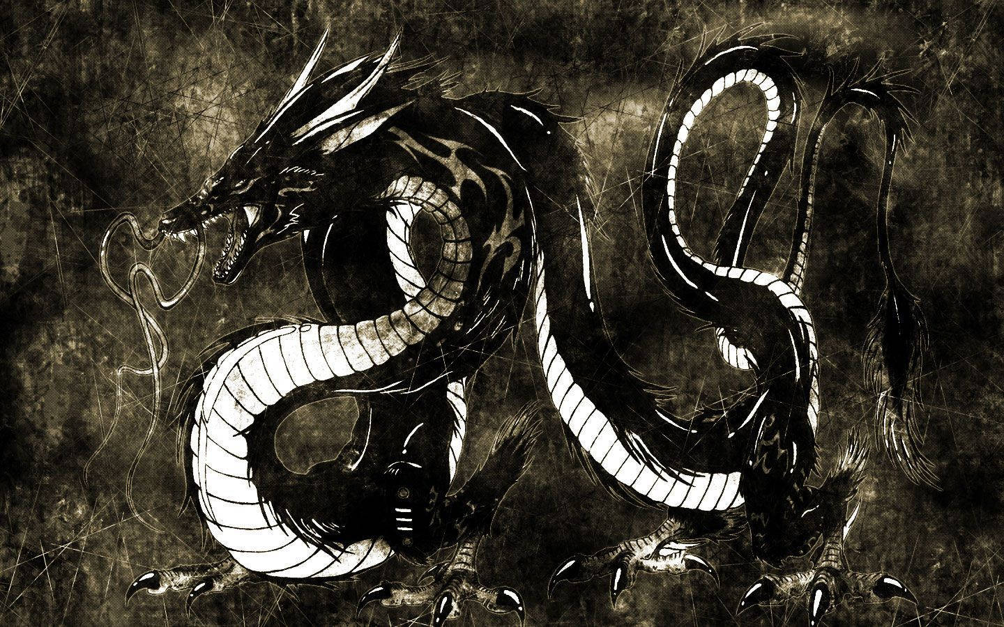 黑鱗日式龍 壁紙 — 一條帶有發光白色腹部的兇猛黑龍，盤繞在粗糙紋理背景上。