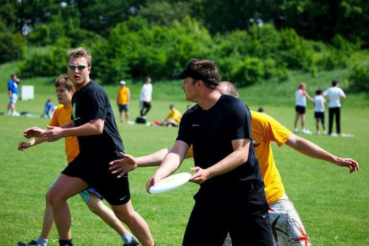 黑黃隊最佳 Ultimate Frisbee 背景 壁紙 — 身穿黑色和黃色球衣的男子在陽光明媚的草地上進行飛盤比賽，背景有樹木，競爭激烈。