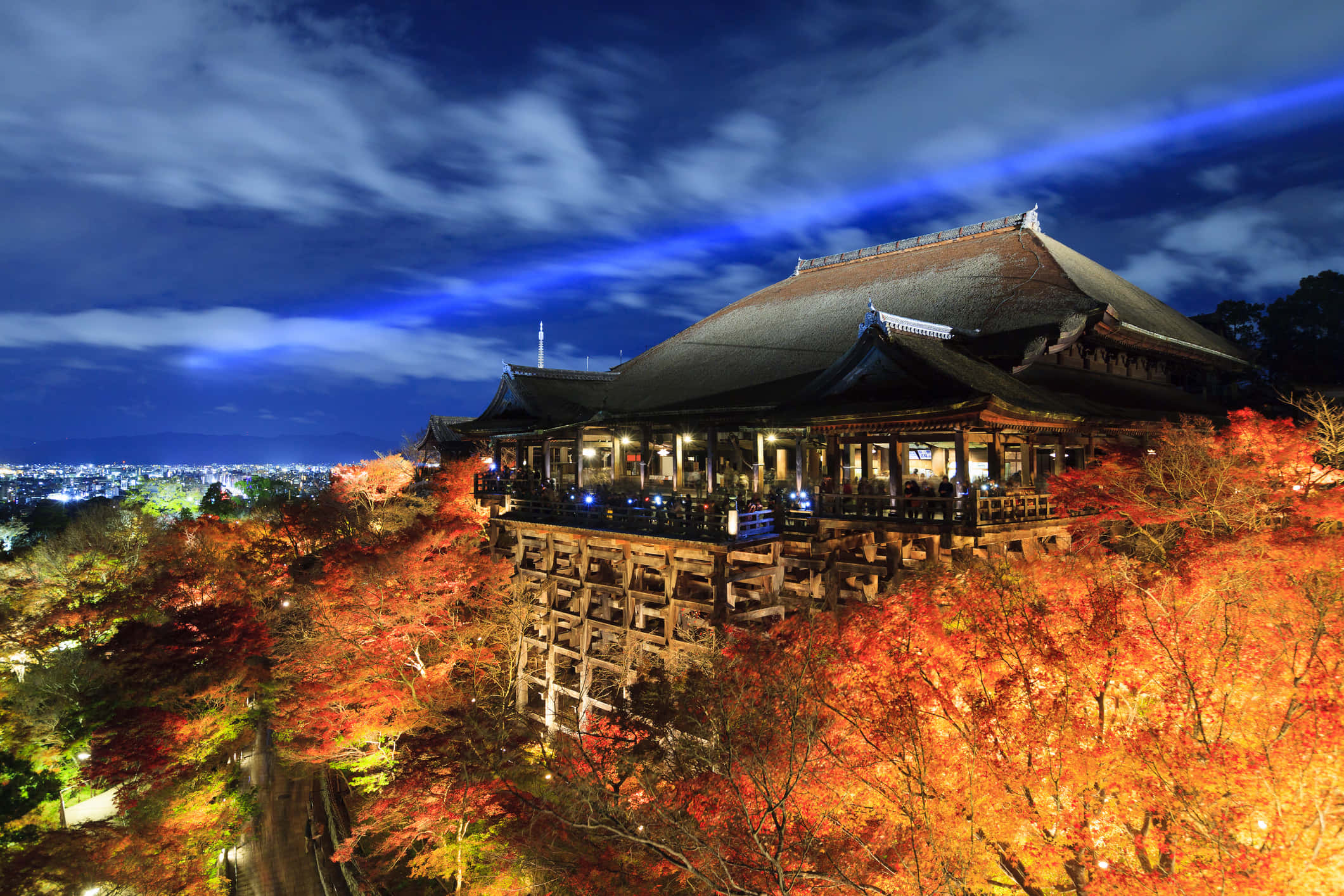 點亮世界 壁紙 — 一座傳統日本寺廟坐落在山頂上，周圍環繞著鮮豔的秋葉，在深藍色的夜空下。