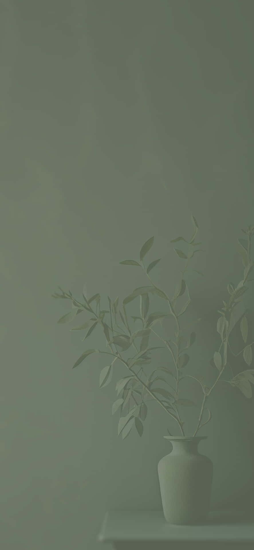一個簡單的花瓶，帶有樹枝，放在架子上，背景是綠色牆壁。