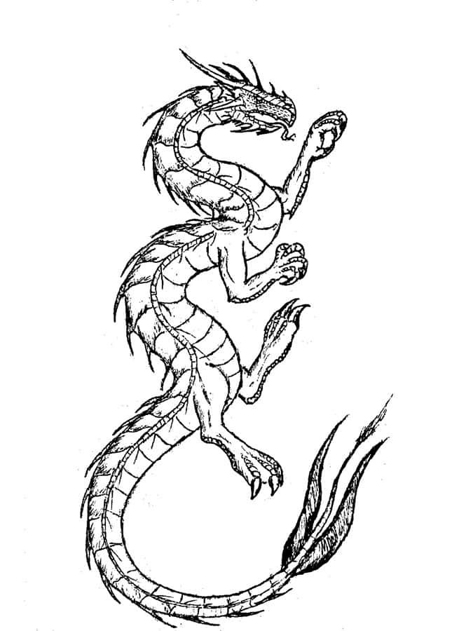 龍主題塗色頁的特寫 壁紙 — 一條盤繞的龍的詳細黑白線條畫，帶有紋理鱗片和鋒利爪子。