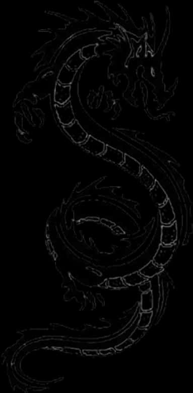龍紋身設計黑底版 壁紙 — 一條風格化的白色線條畫，描繪了一條盤繞的龍，帶有精細的鱗片和爪子，背景為純黑色。