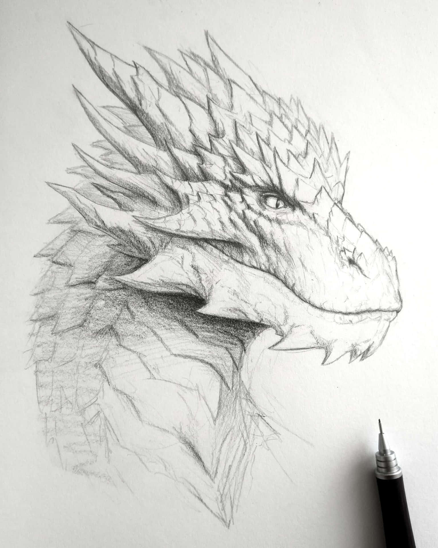 龍臉素描圖 壁紙 — 一幅詳細的鉛筆素描，描繪一個兇猛的龍頭，帶有尖銳的棘刺和強烈的眼神，畫在白紙上，旁邊有一支筆。