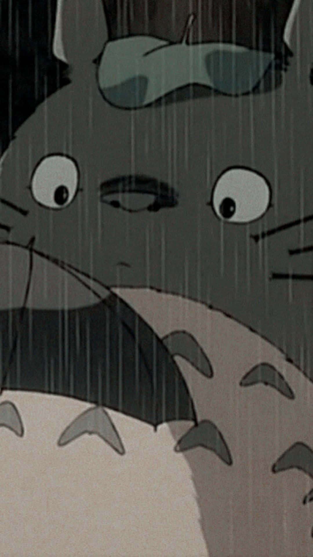雨中龍貓睜大眼睛戴圓頂禮帽