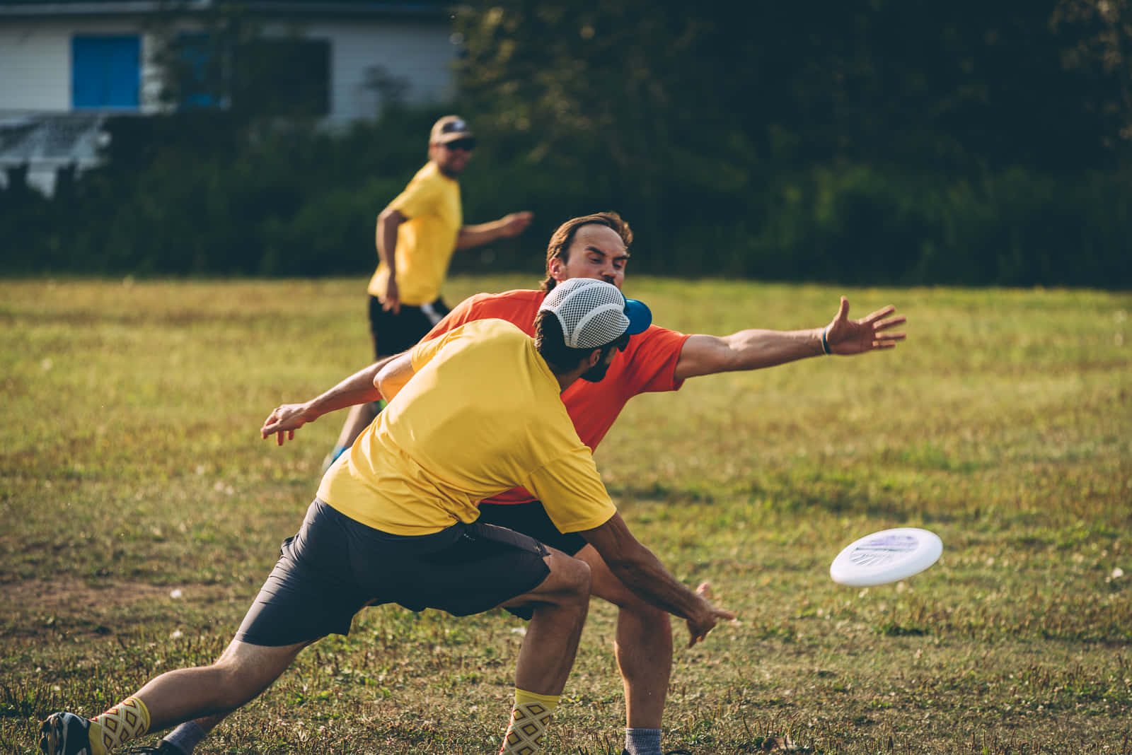 龐克風格最佳 Ultimate Frisbee 背景 壁紙 — 兩名男子在陽光明媚的草地上激烈爭奪一個飛行的飛盤，背景中還有第三名玩家。